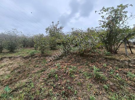 Delta Gayrimenkul'den Bahçelievler'de İmara Açık Arsa