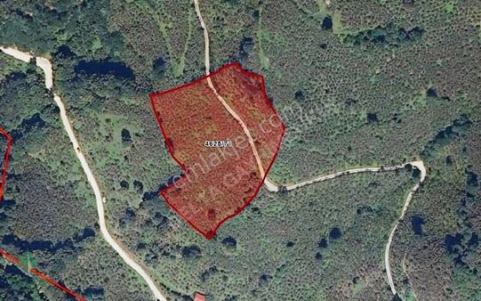 Delta Gayrimenkul'den Ordu Şenocak Köyünde Fındık Bahçesi..