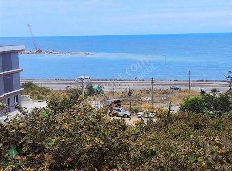 Delta Gayrimenkul'den Keşap Uzuncakum'da İmarlı Fırsat Arsalar!