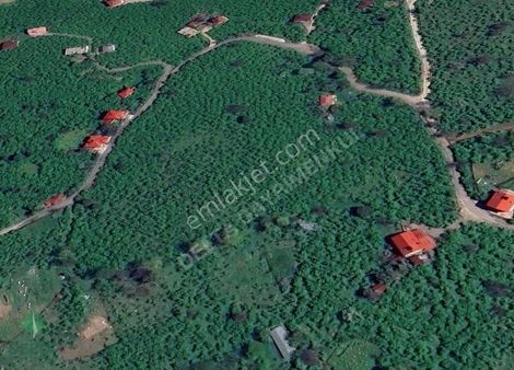 Delta Gayrimenkul'den Giresun Barça Köyünde Satılık Arsa..