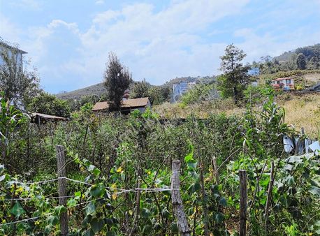 Delta Gayrimenkul'den Pirazizde Deniz Manzarlı Arsalar..