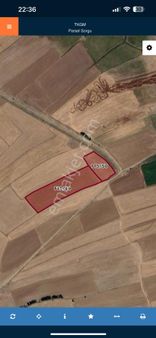 Asrın Emlak’tan Güney Köyünde Satılık 12 Dnm Tektapu Tarla