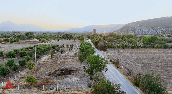 Gölpazarında Bolu Bilecik Ana Asfaltına Cephe Tarla