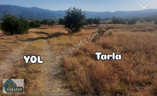Sındırgı Kadastro Yolu Olan Fırsat Tarla