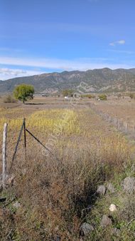 Tokat Erbaa Karayaka Orta Mah Satılık 3.854 M2 Tek Tapu Arazi