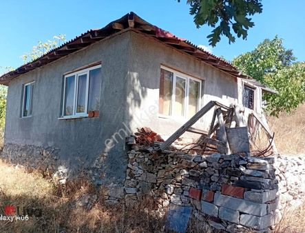 Balıkesir'de İçinde Yapısı Olan Cevizlik 3700m2