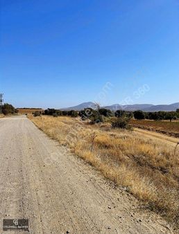Uşak Eşme Takmak Mahallesi Kale Çiftliğinde Satılık Tarla