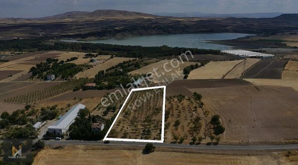 *nova* Beşik Köyünde 9 Dönümlük Satılık Badem Bahçesi