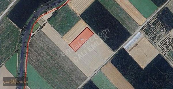 Bursa Karacabey Canbalı Mahallesinde Satılık Yatırımlık Tarla