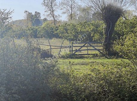 Onur Pehlivan'dan Terme'de Yola Yakın Mesafede Satılık Tarla