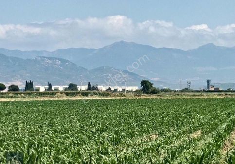 Edremit İzmir Yolu Üzerinde 12000 M² Satılık Tarla