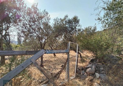 Bahadınlı Da 640 M² Satılık Hobi Bahçesi