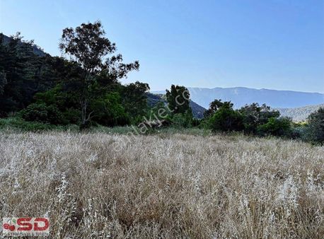Çamlıda Müstakil Parsel İmarlı 4.300 M2 Deniz Manz