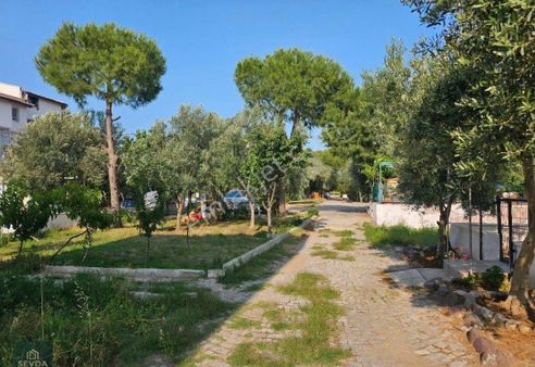 Ayvalık Altınova Sahilde Denize 100 M Site İçinde Villa Arsası