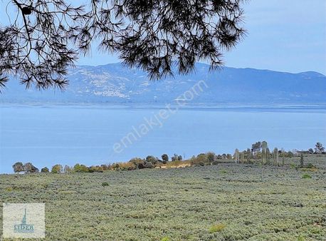 Bursa Orhangazi Dutluca Mah. Eşsiz Göl Manzaralı Zeytinlik