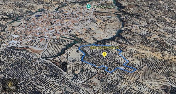 Gökçeköyde Tek Parça 85 Dönüm Sulu Zeytinlik Ve Depo