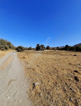 Startkey Pelit Eski Datça'da İmar Sınırında Tarla