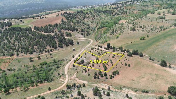Akören Belkuyu Da 3.585 M2 Müstakil Tapulu Tarla