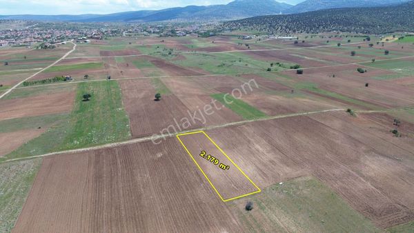 Akören Tülce De 2.179 M2 Müstakil Tapulu Tarla