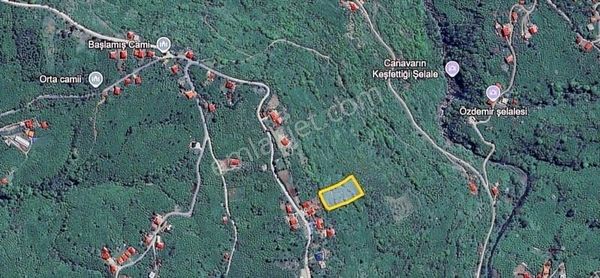 Perşembe Saray Mah 3.635 M2 Ev Yapımına Uygun Fırsat Arsa