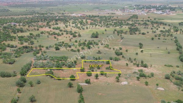 Akören Karahüyük De 3.817 M2 Müstakil Tapulu Bağ