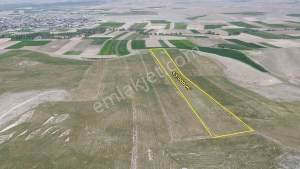 Meram Kavak Da 13.000 M2 Müstakil Tapulu Tarla