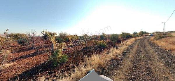 Hanedan Gyo'dan Durantaş'da Satılık 6.750m² Fıstıklık