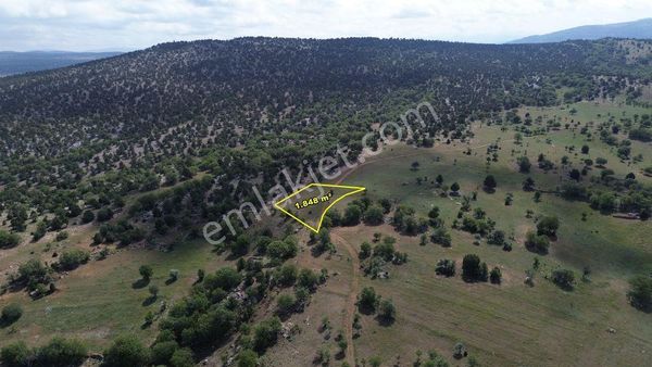 Bozkır Kınık Da 1.848 M2 Müstakil Tapulu Tarla
