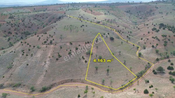 Güneysınır Bardas Da 4.163 M2 Müstakil Tapulu Bağ