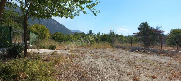 Fatoş Emlak'tan Muğla Köyceğiz Yangı Mah 425 M2 Tarla
