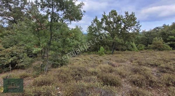 Çanakkale Yenice'de Kadastral Yola Cephe 12.678 M2 Satılık Tarla