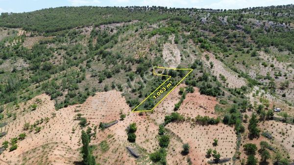 Bozkır Hamzalar Da 1.063 M2 Müstakil Tapulu Bağ