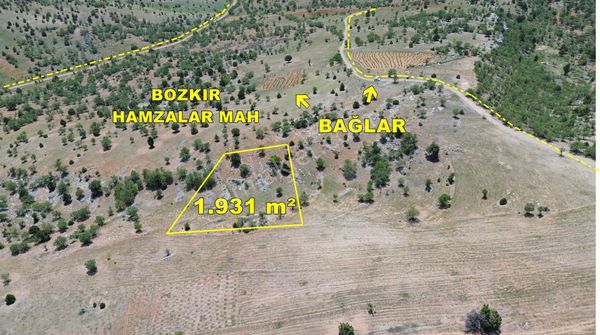 Bozkır Hamzalarda 1.931 M2 Müstakil Tapulu Bağ