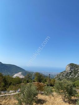 Alanya Bademağacı Mahallesi Satılık 1100m2 Tarla