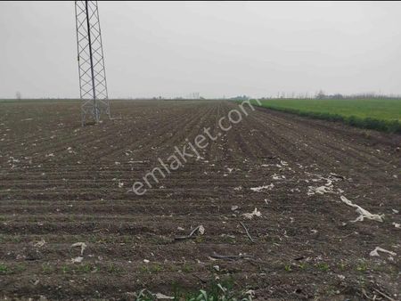Adana Seyhan Camuzcu Köyünde Satılık 10570 Metrekare Tarla, Emsallerine Göre Çok Uygun.