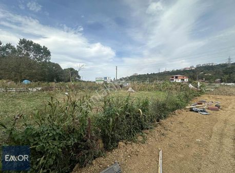 Emor Gayrimenkul Eskipazar Mahallesi 704 M2 Satılık Fırsat Arsa