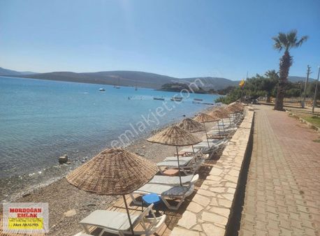 Mordoğan Emlaktan Manal Koyunda Denize Sıfır Satılık Yazlık