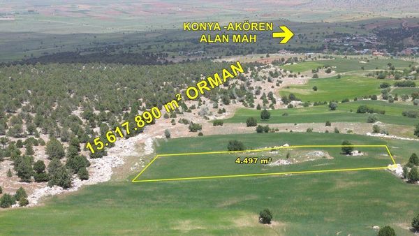 Akören Alanda 4.497 M2 Müstakil Tapulu Tarla