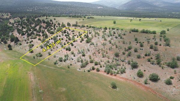Akören Alanda 4.433 M2 Müstakil Tapulu Tarla