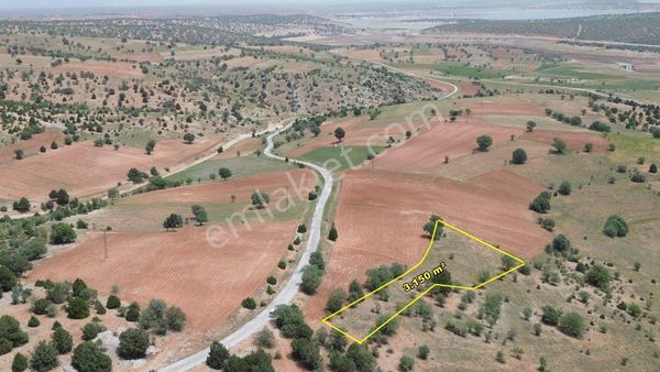 Akören Belkuyu Da 3.150 M2 Müstakil Tapulu Tarla