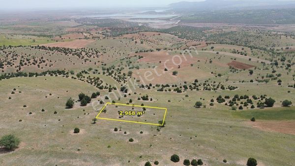 Akören Belkuyu Da 2.968 M2 Müstakil Tapulu Tarla