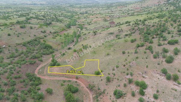 Güneysınır Gürağaçda 2.457 M2 Müstakil Tapulu Bağ