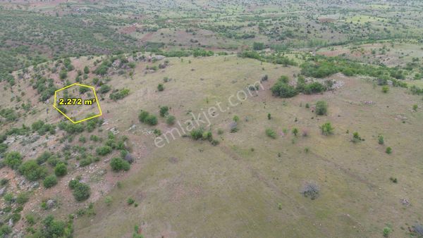 Güneysınır Gürağaçda 2.272 M2 Müstakil Tapulu Bağ