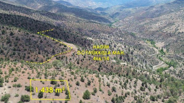 Hadim Göynükkışla Da 1.438 M2 Müstakil Tapulu Bağ