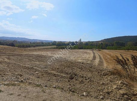 Mudanya Orhaniyede Asfalt Yola Cephe Yatırımlık Arazi