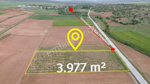 Güneysınır Aydoğmuşda 3.977 M2 Müstakil Tapulu Asfalt Yola Cepheli Tarla