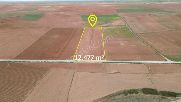 Güneysınır Aydoğmuşda 12.477 M2 Müstakil Tapulu Asfalt Yola Cepheli Tarla