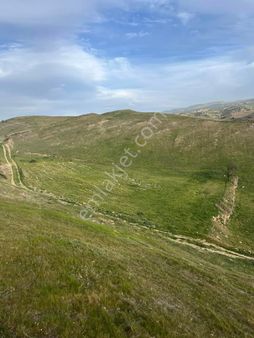 Sarıgöl Öz Pınar Çimentepe Mevki Şahsi Tapu Tarla