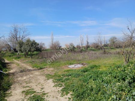 Aydın Nazilli Yazırlı Köyünde Satılık Bahçe