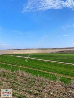 Kırklareli Babaeski Çengerli De Yatırımlık 2.786 M² Satılık Arsa